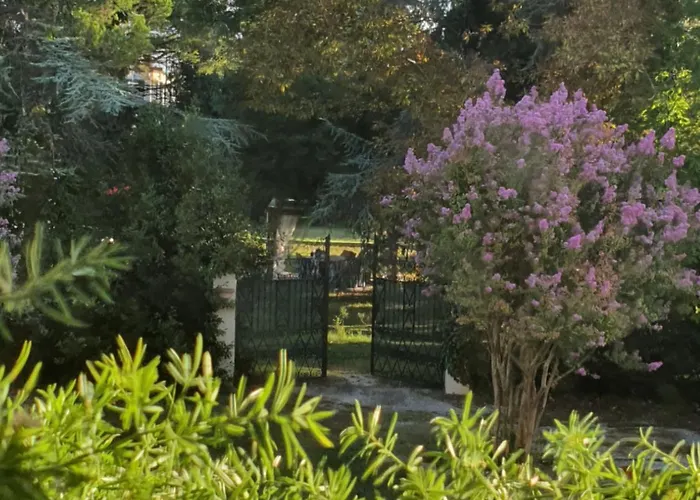 La Dogaressa 公寓 维罗港