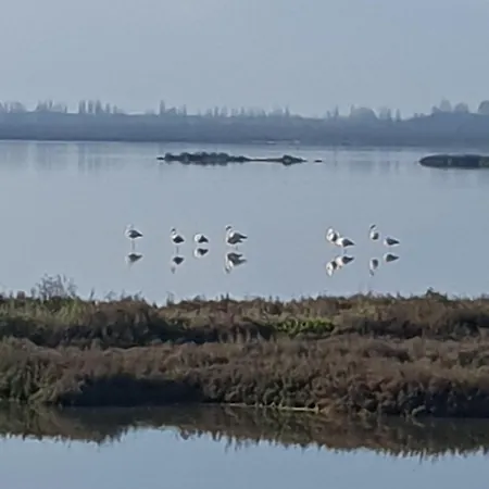 Apartamento La Dogaressa *