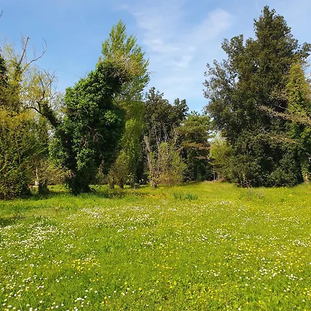 Apartamento La Dogaressa *