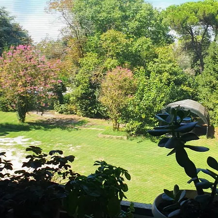 La Dogaressa Apartment Porto Viro