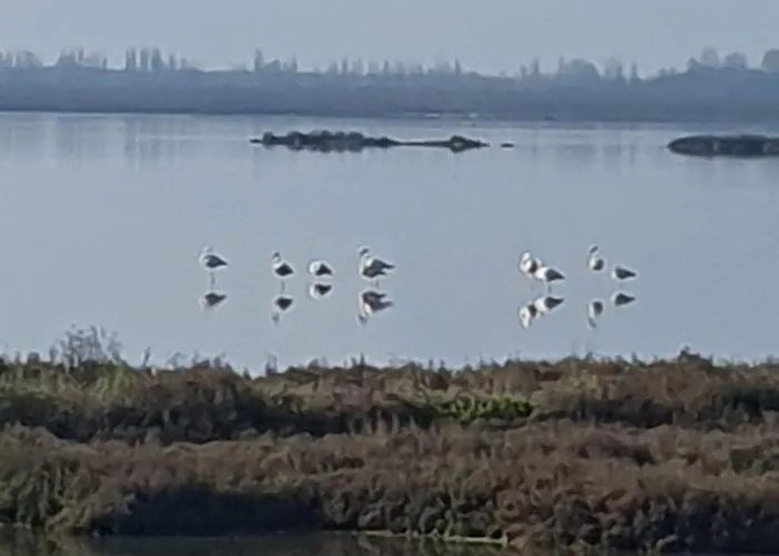 아파트 La Dogaressa *