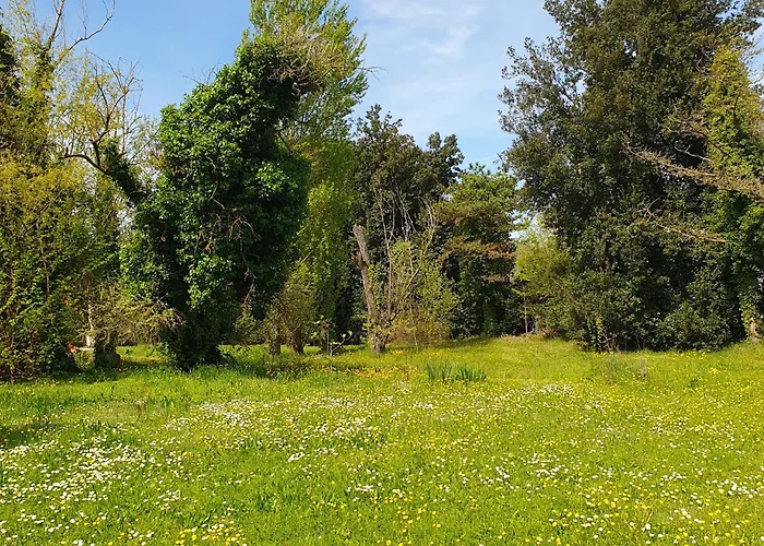 아파트 La Dogaressa *